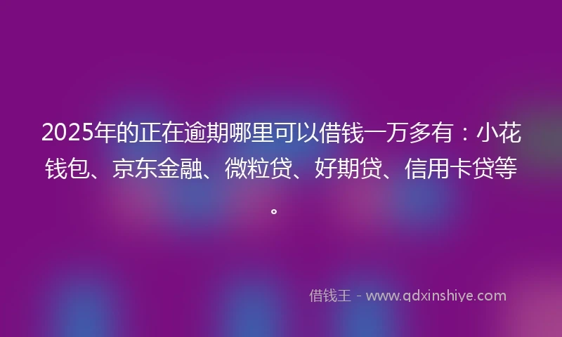 2025年的正在逾期哪里可以借钱一万多有：小花钱包、京东金融、微粒贷、好期贷、信用卡贷等。