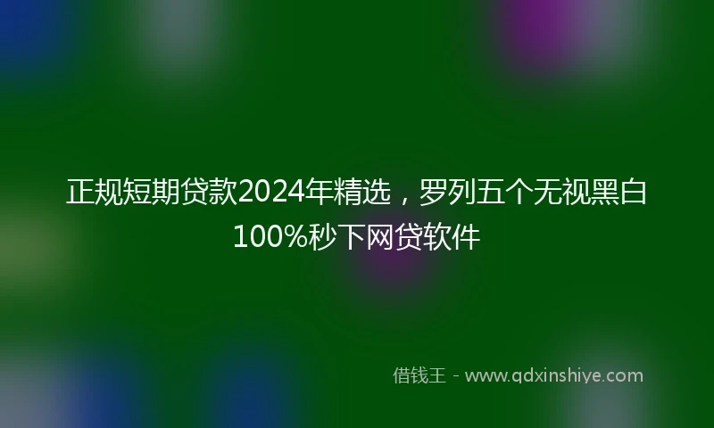 正规短期贷款2024年精选，罗列五个无视黑白100%秒下网贷软件
