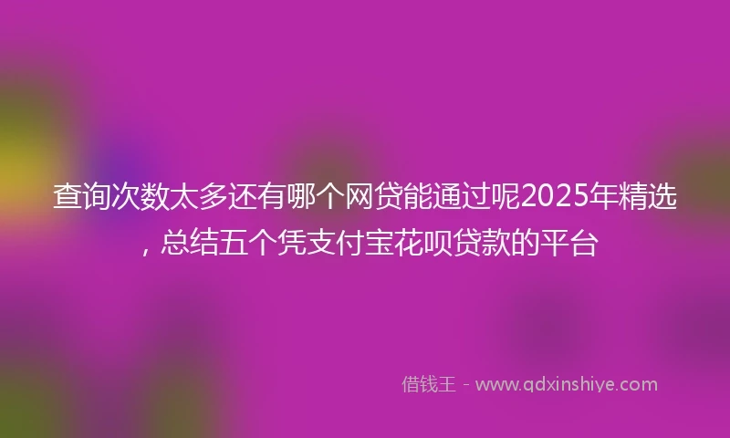 查询次数太多还有哪个网贷能通过呢2025年精选，总结五个凭支付宝花呗贷款的平台
