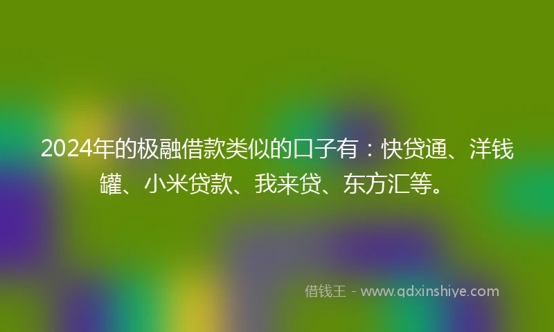 2024年的极融借款类似的口子有：快贷通、洋钱罐、小米贷款、我来贷、东方汇等。