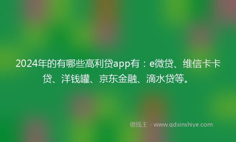 2024年的有哪些高利贷app有：e微贷、维信卡卡贷、洋钱罐、京东金融、滴水贷等。