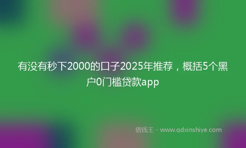 有没有秒下2000的口子2025年推荐，概括5个黑户0门槛贷款app