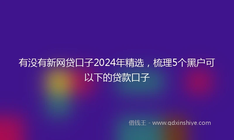 有没有新网贷口子2024年精选，梳理5个黑户可以下的贷款口子