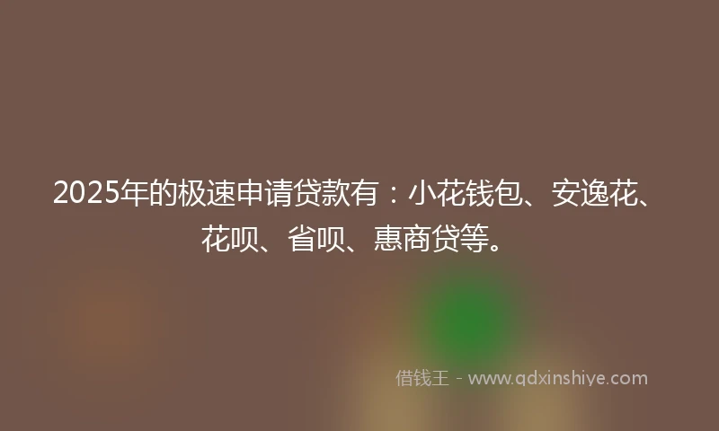 2025年的极速申请贷款有：小花钱包、安逸花、花呗、省呗、惠商贷等。
