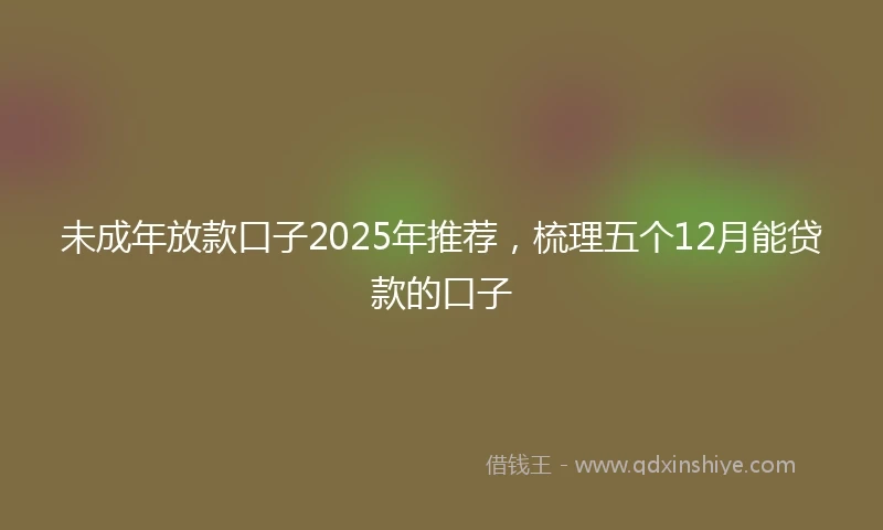 未成年放款口子2025年推荐，梳理五个12月能贷款的口子