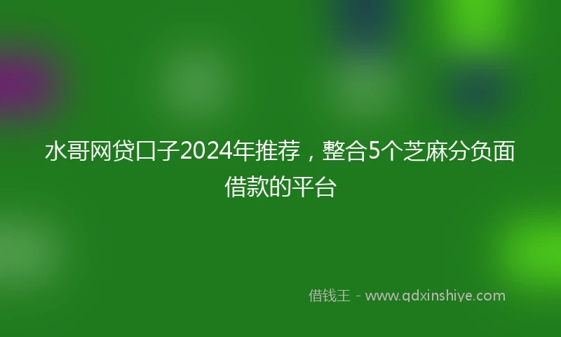 水哥网贷口子2024年推荐，整合5个芝麻分负面借款的平台