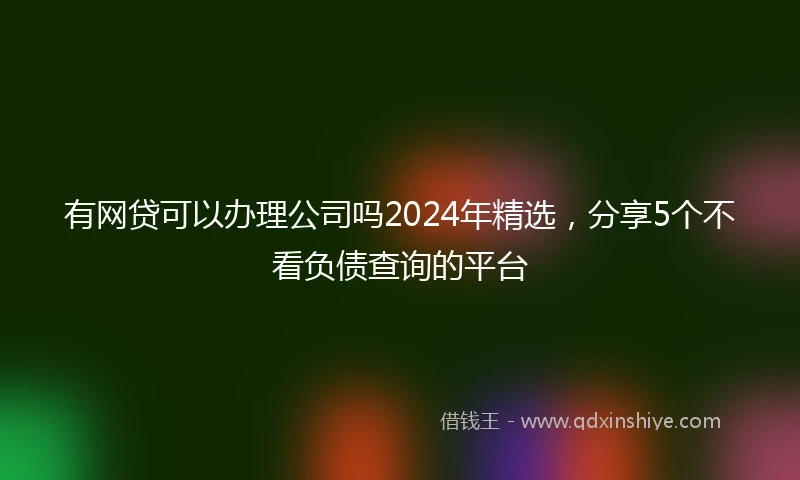 有网贷可以办理公司吗2024年精选，分享5个不看负债查询的平台