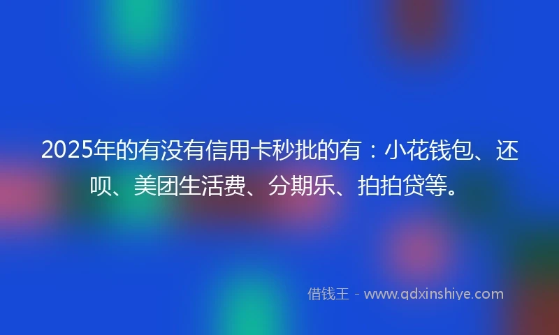 2025年的有没有信用卡秒批的有：小花钱包、还呗、美团生活费、分期乐、拍拍贷等。