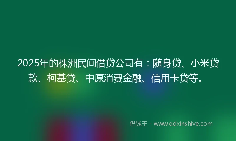 2025年的株洲民间借贷公司有：随身贷、小米贷款、柯基贷、中原消费金融、信用卡贷等。