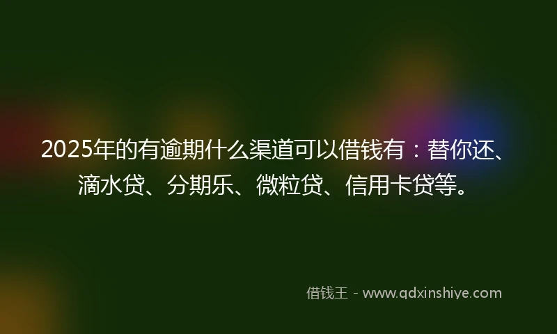 2025年的有逾期什么渠道可以借钱有：替你还、滴水贷、分期乐、微粒贷、信用卡贷等。