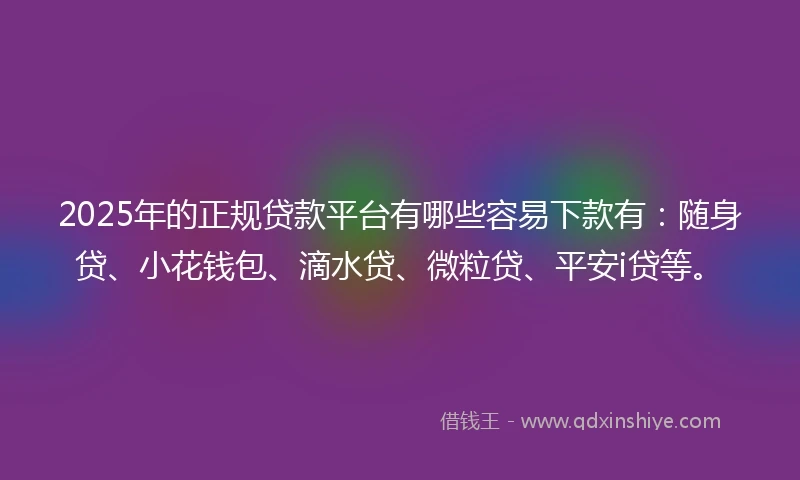2025年的正规贷款平台有哪些容易下款有：随身贷、小花钱包、滴水贷、微粒贷、平安i贷等。