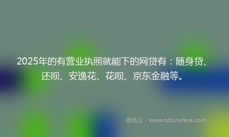2025年的有营业执照就能下的网贷有：随身贷、还呗、安逸花、花呗、京东金融等。
