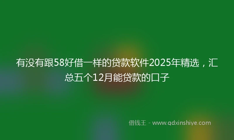 有没有跟58好借一样的贷款软件2025年精选，汇总五个12月能贷款的口子
