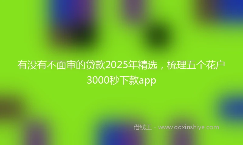 有没有不面审的贷款2025年精选，梳理五个花户3000秒下款app