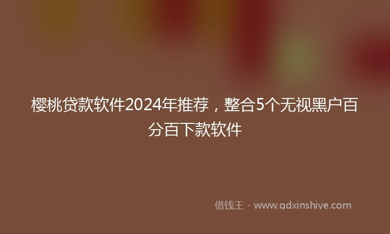 樱桃贷款软件2024年推荐，整合5个无视黑户百分百下款软件