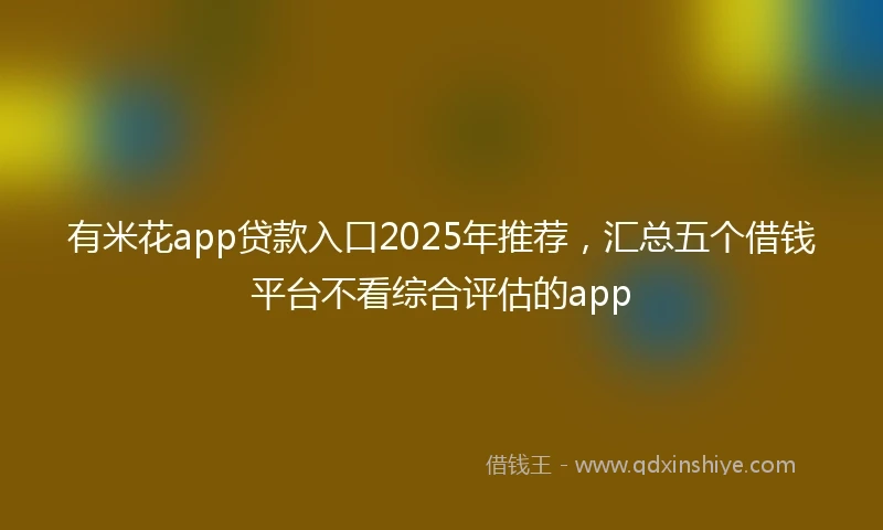 有米花app贷款入口2025年推荐，汇总五个借钱平台不看综合评估的app