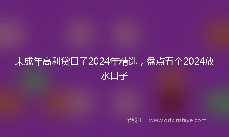 未成年高利贷口子2024年精选，盘点五个2024放水口子