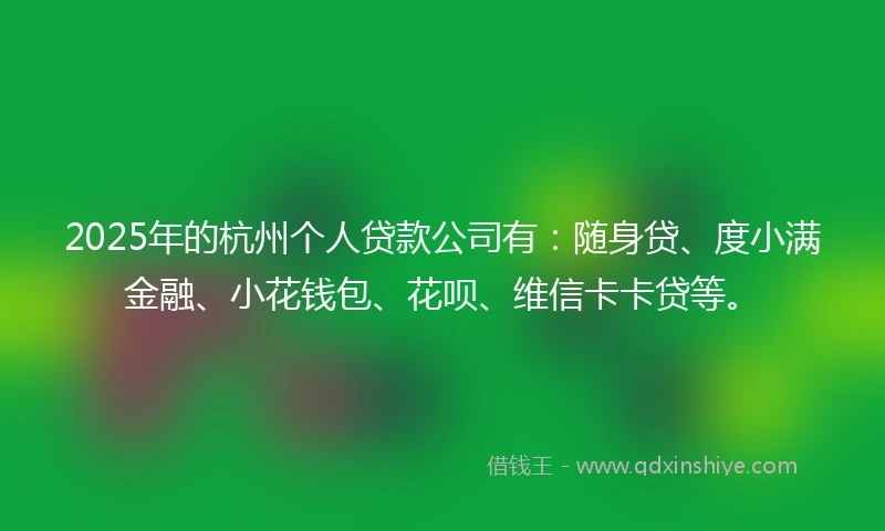 2025年的杭州个人贷款公司有：随身贷、度小满金融、小花钱包、花呗、维信卡卡贷等。