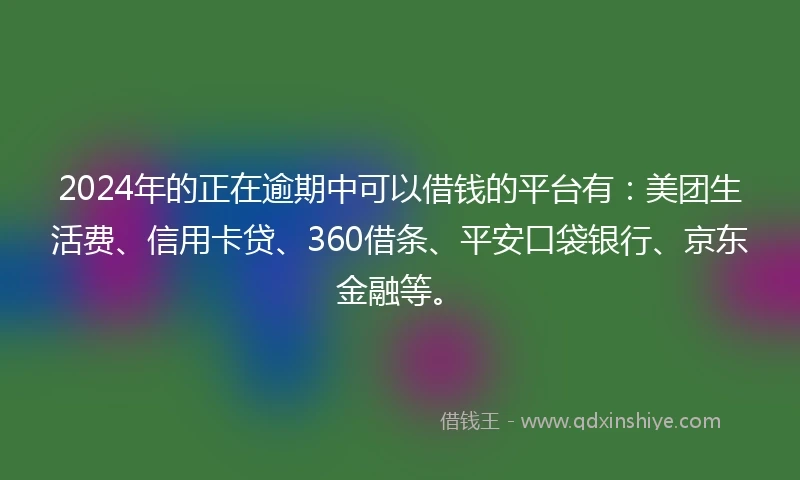2024年的正在逾期中可以借钱的平台有：美团生活费、信用卡贷、360借条、平安口袋银行、京东金融等。