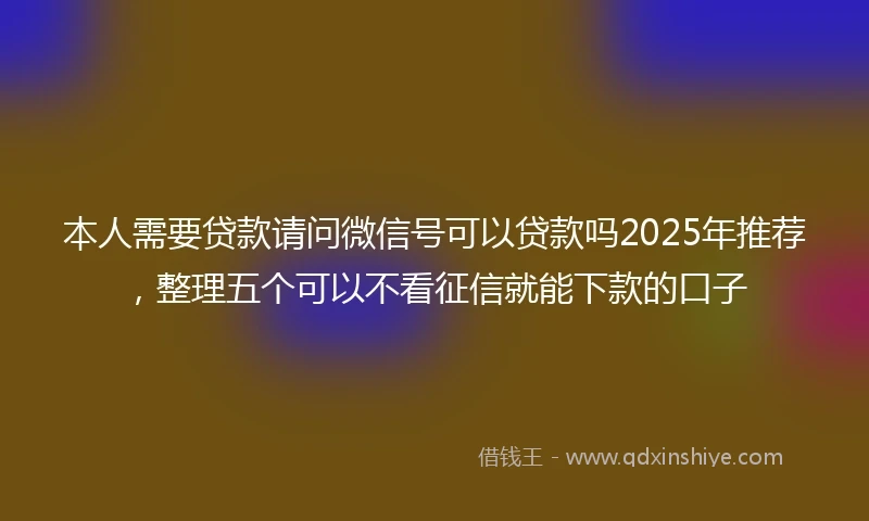 本人需要贷款请问微信号可以贷款吗2025年推荐，整理五个可以不看征信就能下款的口子