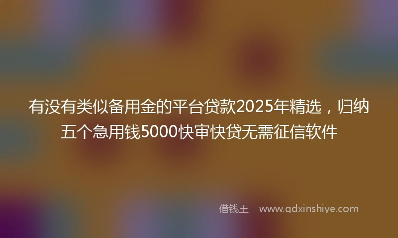 有没有类似备用金的平台贷款2025年精选，归纳五个急用钱5000快审快贷无需征信软件
