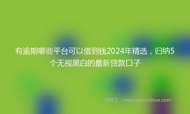 有逾期哪些平台可以借到钱2024年精选，归纳5个无视黑白的最新贷款口子