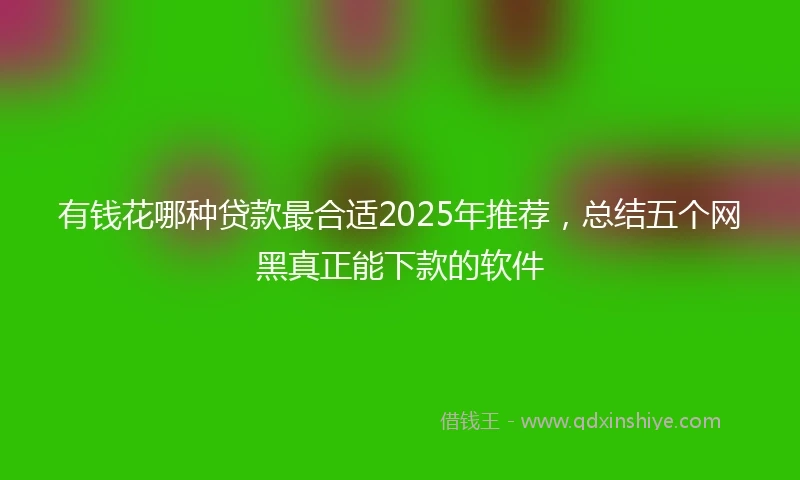 有钱花哪种贷款最合适2025年推荐，总结五个网黑真正能下款的软件