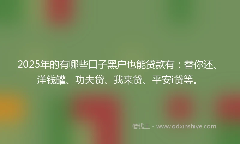 2025年的有哪些口子黑户也能贷款有：替你还、洋钱罐、功夫贷、我来贷、平安i贷等。