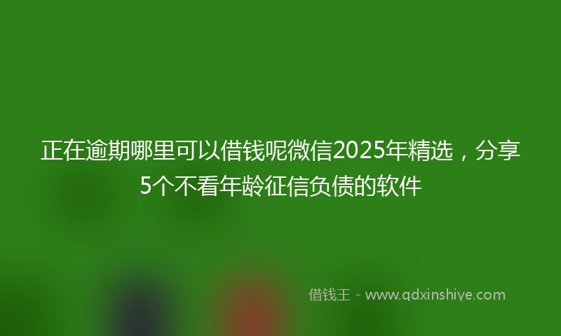 正在逾期哪里可以借钱呢微信2025年精选，分享5个不看年龄征信负债的软件