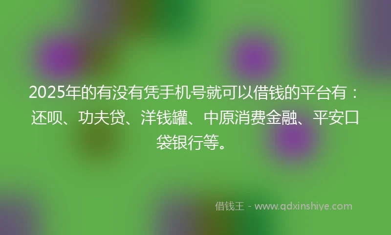 2025年的有没有凭手机号就可以借钱的平台有：还呗、功夫贷、洋钱罐、中原消费金融、平安口袋银行等。