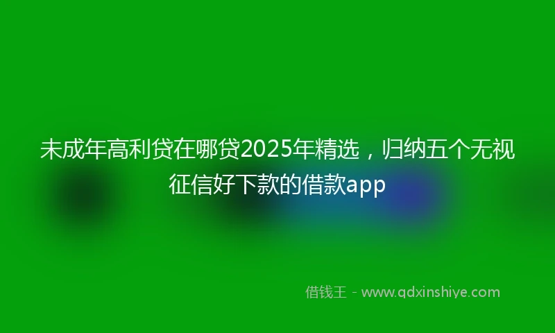 未成年高利贷在哪贷2025年精选，归纳五个无视征信好下款的借款app