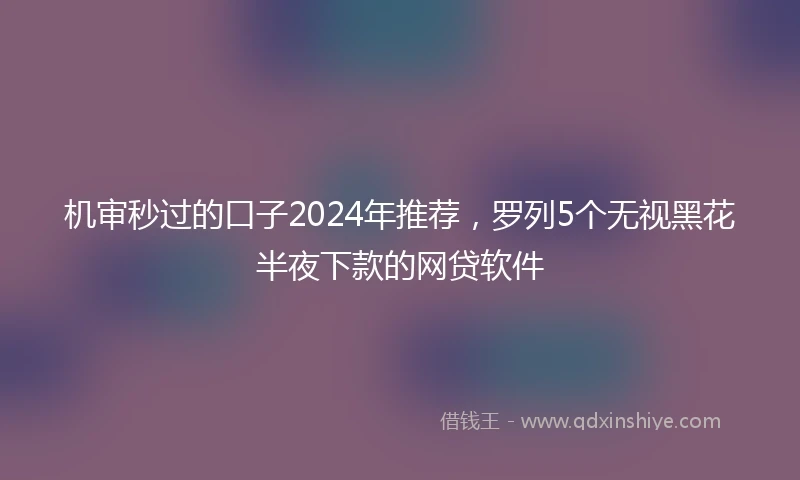 机审秒过的口子2024年推荐，罗列5个无视黑花半夜下款的网贷软件