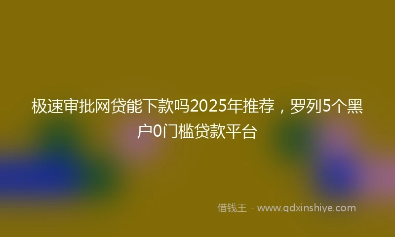 极速审批网贷能下款吗2025年推荐，罗列5个黑户0门槛贷款平台