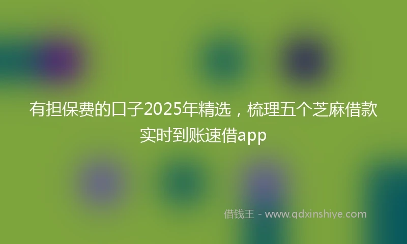 有担保费的口子2025年精选，梳理五个芝麻借款实时到账速借app