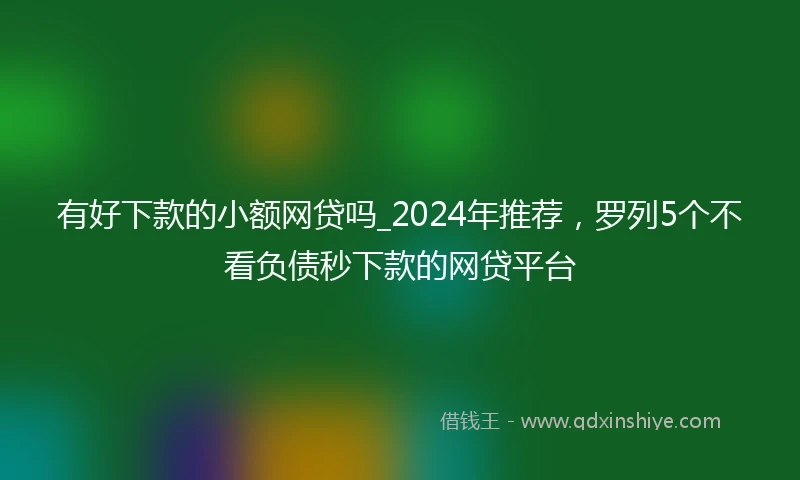 有好下款的小额网贷吗_2024年推荐，罗列5个不看负债秒下款的网贷平台