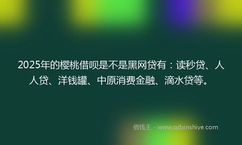 2025年的樱桃借呗是不是黑网贷有：读秒贷、人人贷、洋钱罐、中原消费金融、滴水贷等。