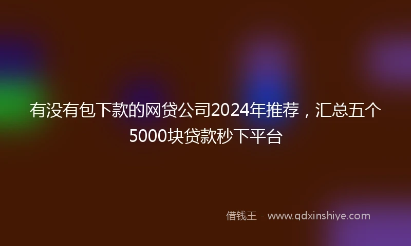 有没有包下款的网贷公司2024年推荐，汇总五个5000块贷款秒下平台