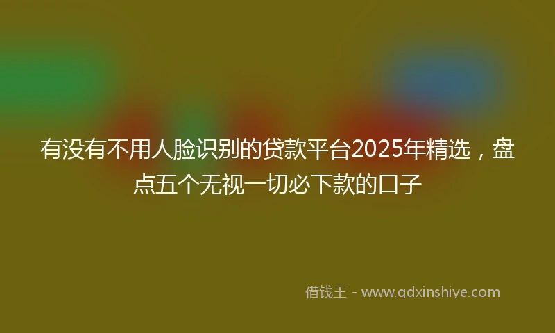 有没有不用人脸识别的贷款平台2025年精选，盘点五个无视一切必下款的口子