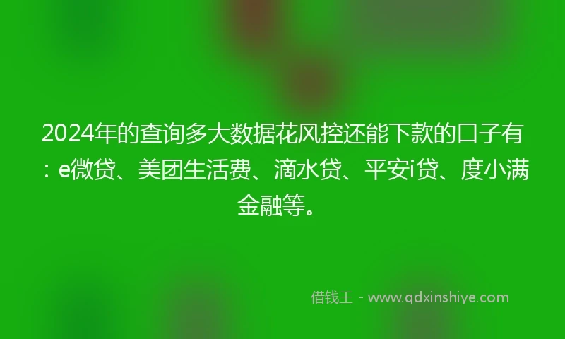 2024年的查询多大数据花风控还能下款的口子有：e微贷、美团生活费、滴水贷、平安i贷、度小满金融等。