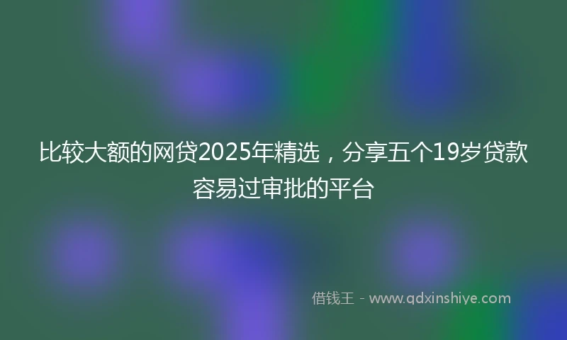 比较大额的网贷2025年精选，分享五个19岁贷款容易过审批的平台