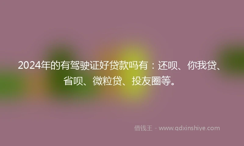 2024年的有驾驶证好贷款吗有：还呗、你我贷、省呗、微粒贷、投友圈等。