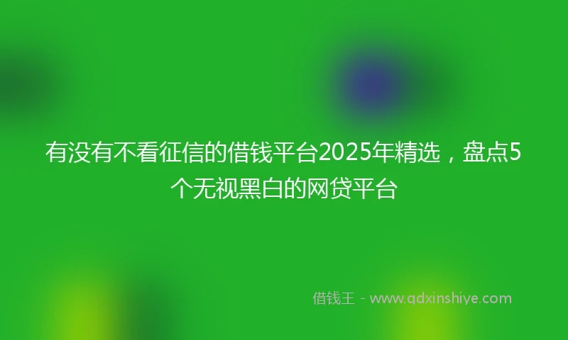有没有不看征信的借钱平台2025年精选，盘点5个无视黑白的网贷平台
