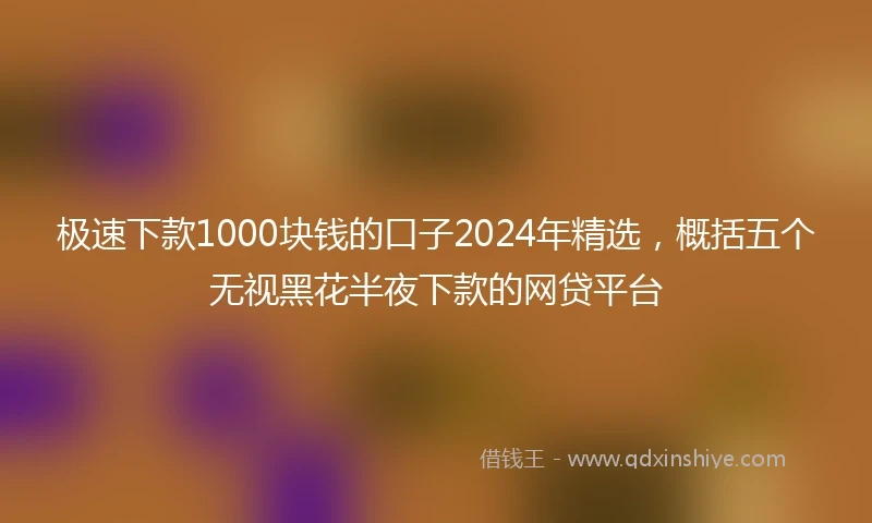 极速下款1000块钱的口子2024年精选，概括五个无视黑花半夜下款的网贷平台