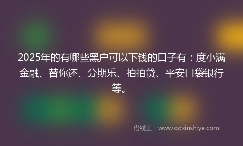 2025年的有哪些黑户可以下钱的口子有：度小满金融、替你还、分期乐、拍拍贷、平安口袋银行等。