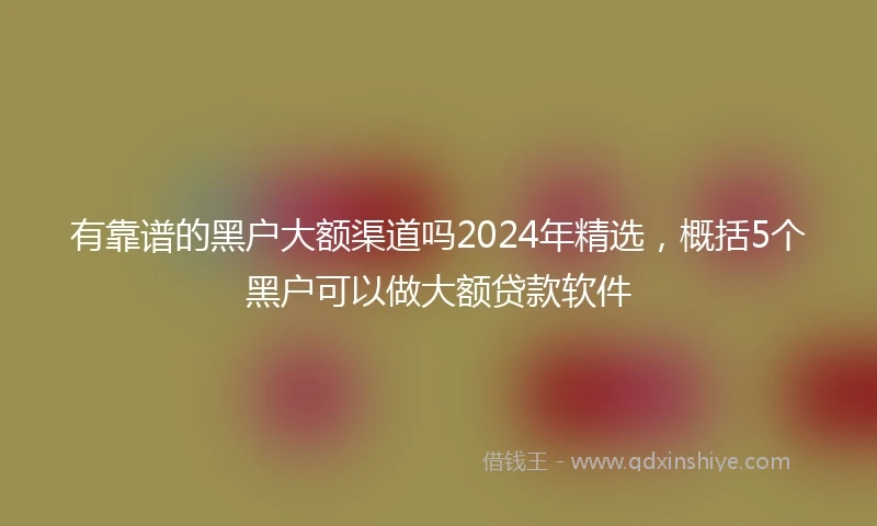 有靠谱的黑户大额渠道吗2024年精选，概括5个黑户可以做大额贷款软件