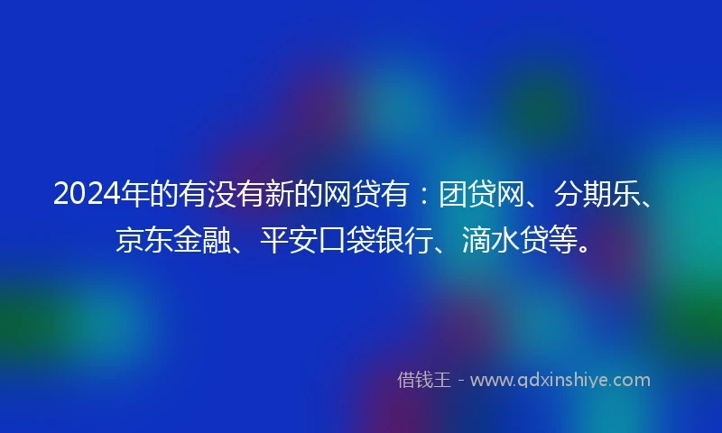 2024年的有没有新的网贷有：团贷网、分期乐、京东金融、平安口袋银行、滴水贷等。