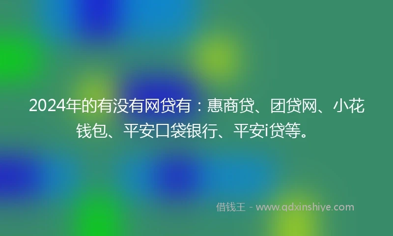 2024年的有没有网贷有：惠商贷、团贷网、小花钱包、平安口袋银行、平安i贷等。