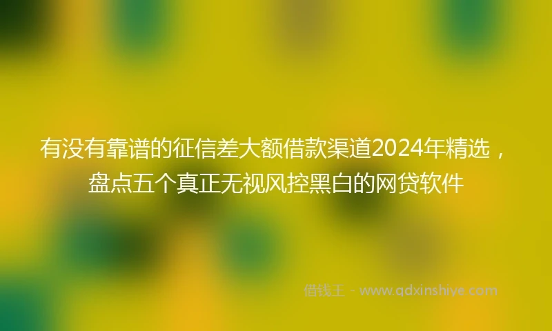 有没有靠谱的征信差大额借款渠道2024年精选，盘点五个真正无视风控黑白的网贷软件