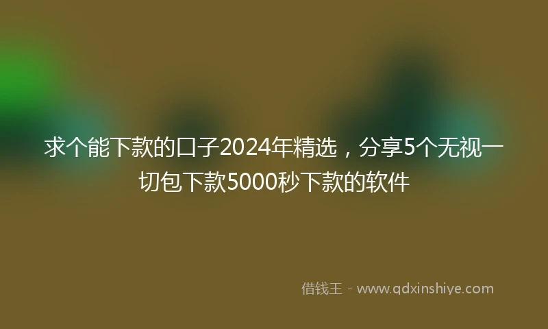 求个能下款的口子2024年精选，分享5个无视一切包下款5000秒下款的软件