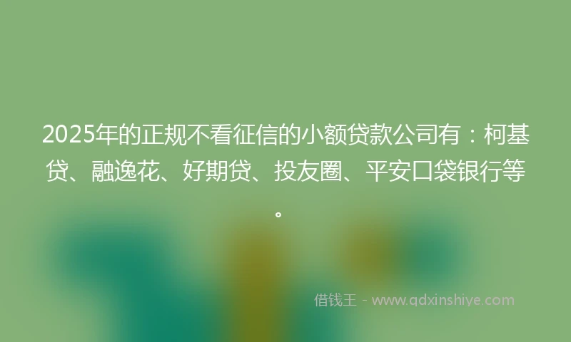 2025年的正规不看征信的小额贷款公司有：柯基贷、融逸花、好期贷、投友圈、平安口袋银行等。